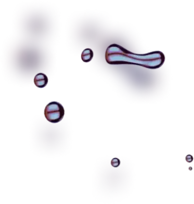 Oil Zee Star - Unlock Maximum Profit Potential with Gas Potential Seize Control of Your Trades Now