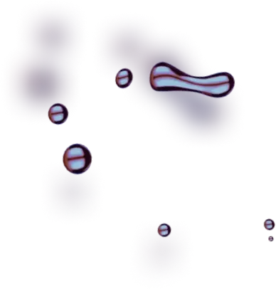 Oil Zee Star - Discover the expertise of our team members